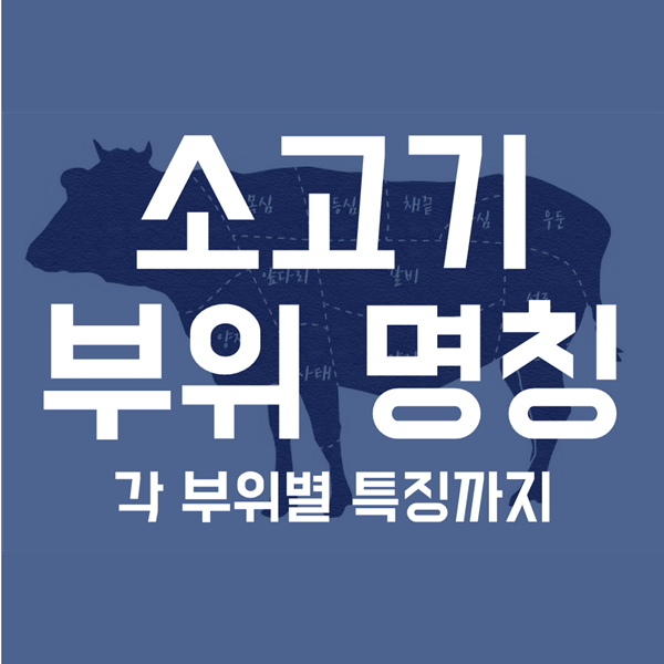  소고기 부위별 명칭 - 각 부위별 특징까지 알아보자!