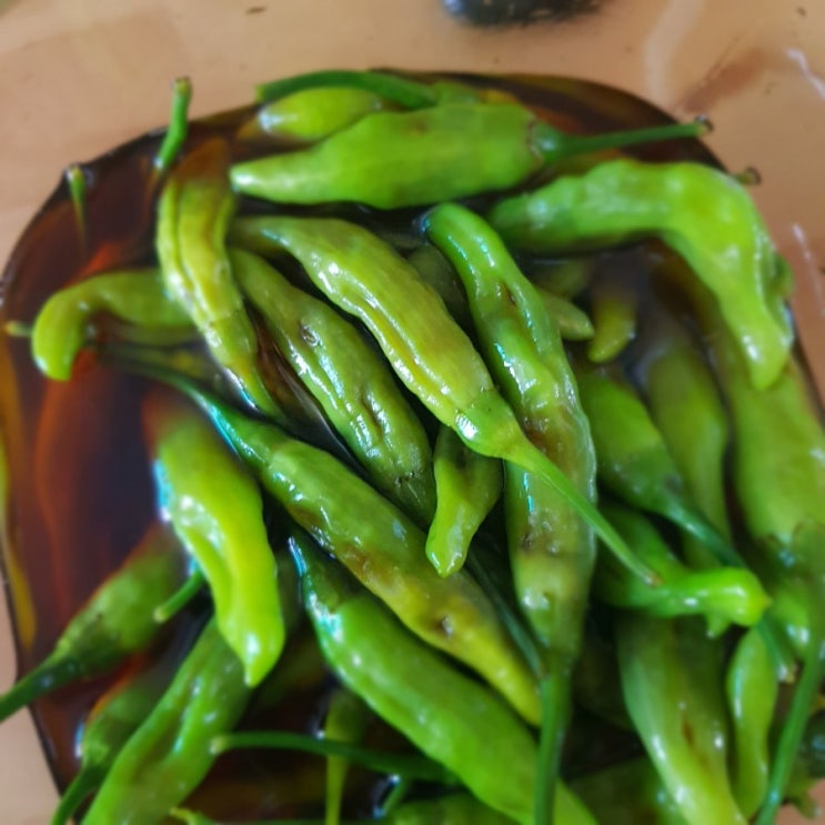  꽈리고추 장아찌 만들기