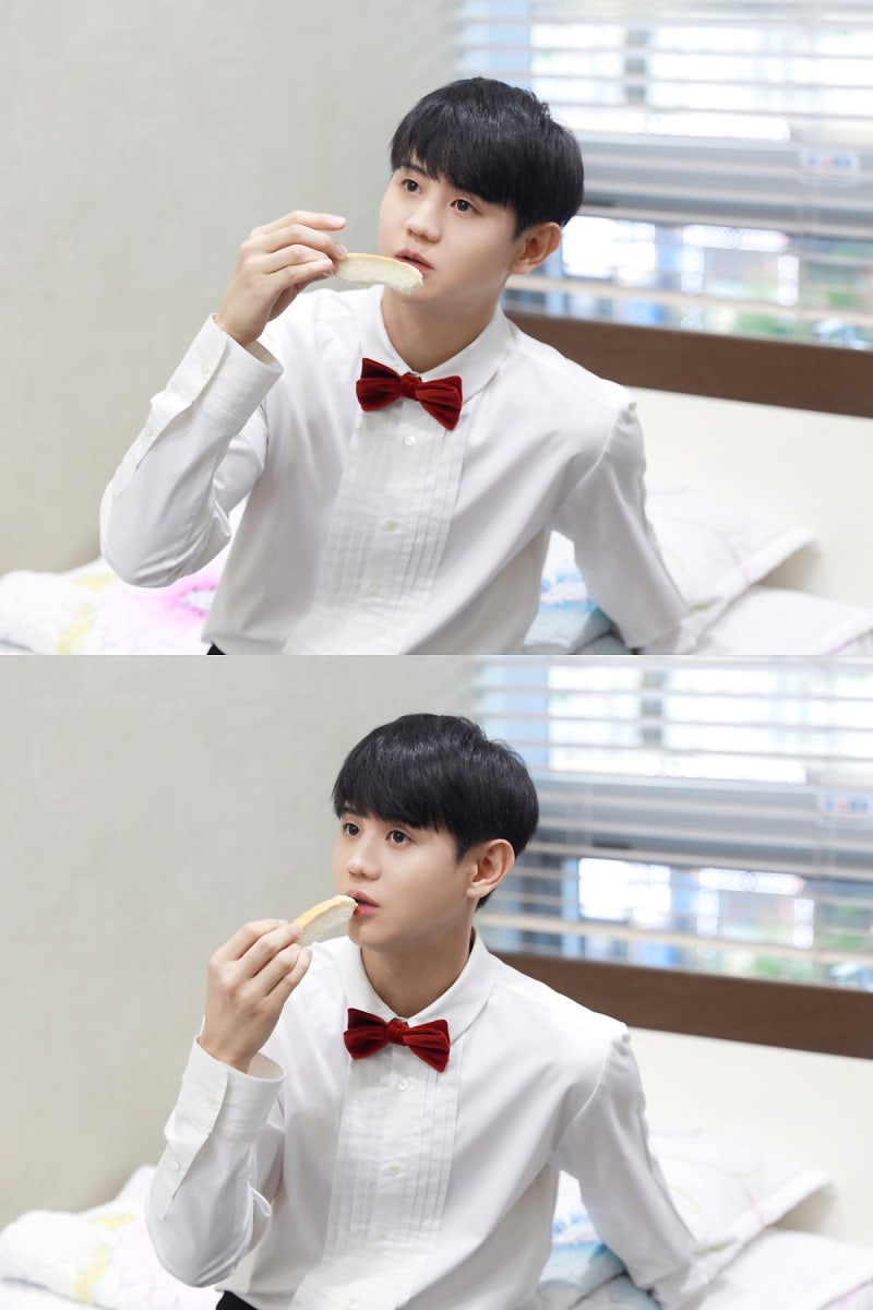210809 : ) 부뚜막 고양이 양요섭 복면가왕 비하인드 사진모음