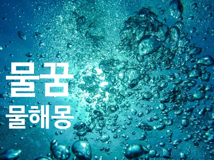  물 꿈해몽 - 수도물 꿈 맑은물 꿈 흙탕물 꿈 물 꿈해석