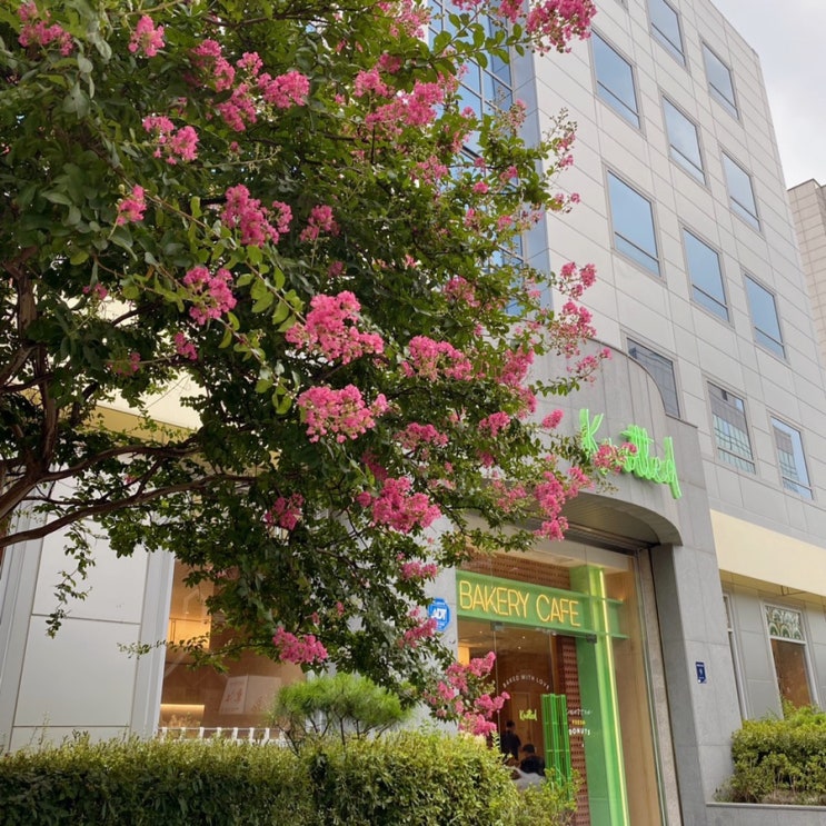  [삼성] [카페 노티드] 인생 도넛 찾았다!! 인기폭발 핫한 도넛카페︎