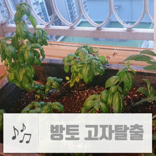  좋은소식이 있어요