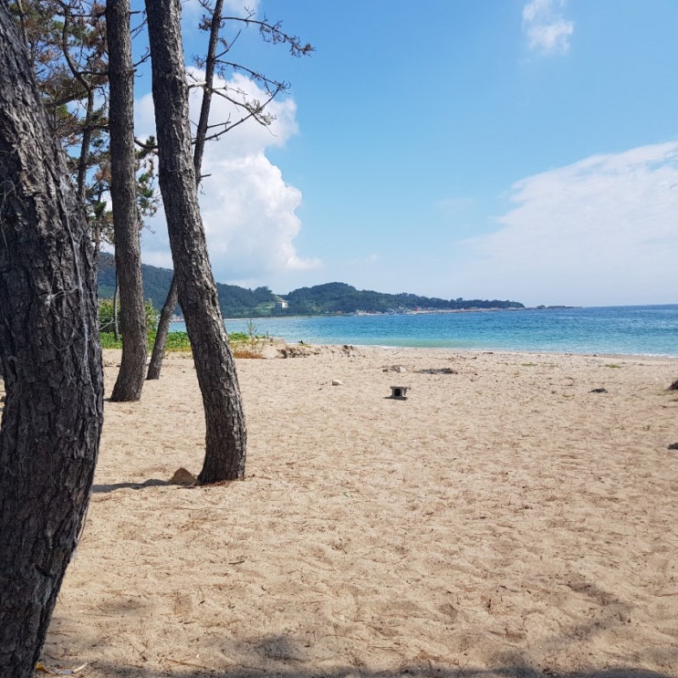  포항 대진 해수욕장 바닷가(8. 7)