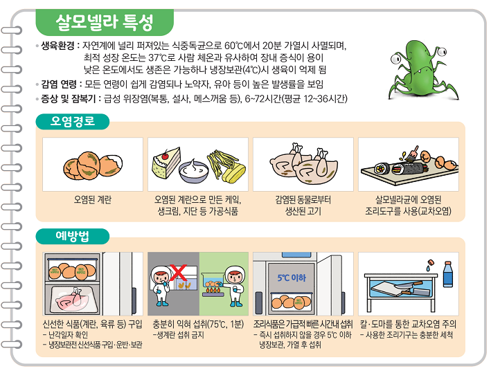 살모넬라 식중독 주의 : 손씻기, 익혀먹기, 끓여먹기 등