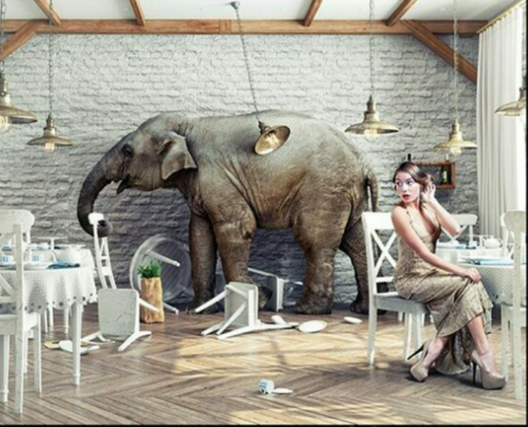  The elephant in the room : 우리는 무엇을 치료하고 있는가....