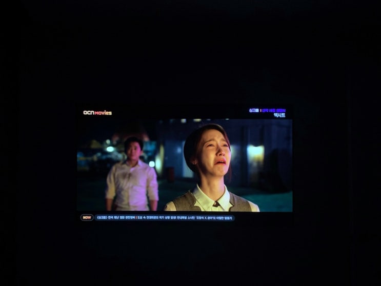 [Dairy] 분위기 터지는 고양 카페 노만주의 feat. Nas 신보