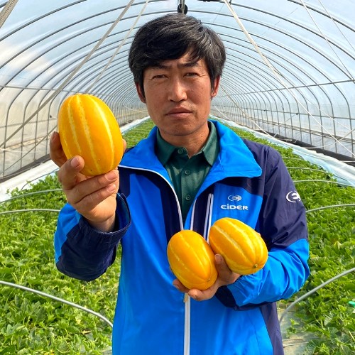잘팔리는 성주참외 꿀참외 고당도 산지직송 가정용 제철 못난이 미니 꼬마 참외 3kg 5kg, 1. 성주참외 소과 3kg 좋아요 잘팔리는 성주참외 꿀참외 고당도 산지직송 가정용 제철 못난이 미니 꼬마 참외 3kg 5kg, 1. 성주참외 소과 3kg 좋아요