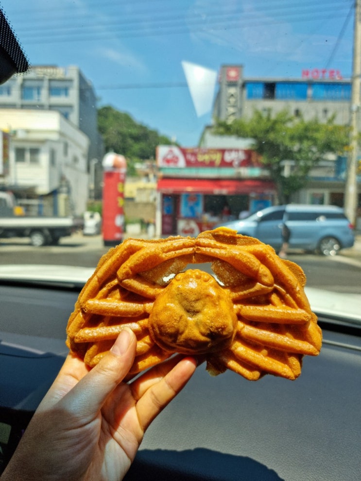 울진 대게빵 이게 그렇게 유명하다고? 글쎄 울진 대게빵 이게 그렇게 유명하다고? 글쎄