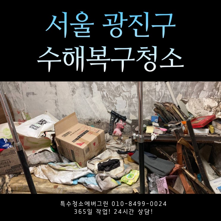 서울 광진구 특수청소 - 반지하 빌라 수해복구 청소