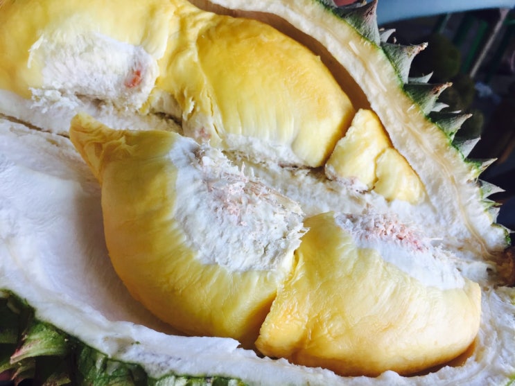  가치관, 기준 / 천국의 맛 지옥의 냄새