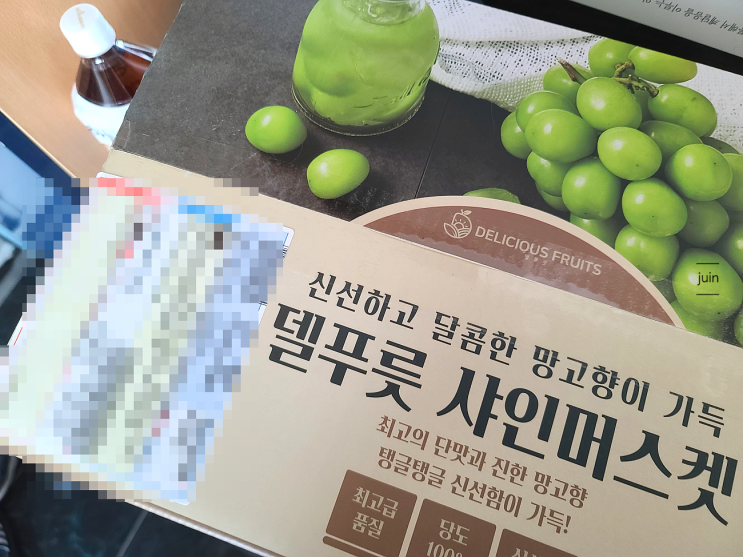 델푸릇 고급 졌던 샤인머스켓