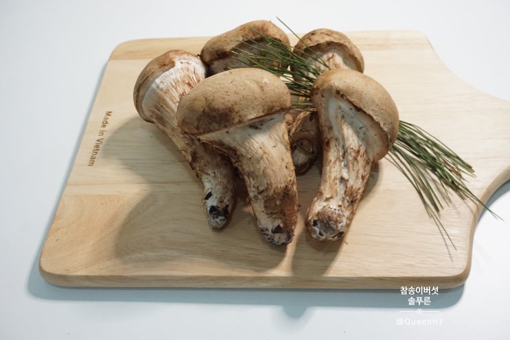  참송이버섯 국내산 무농약 친환경 솔푸른 참송이버섯