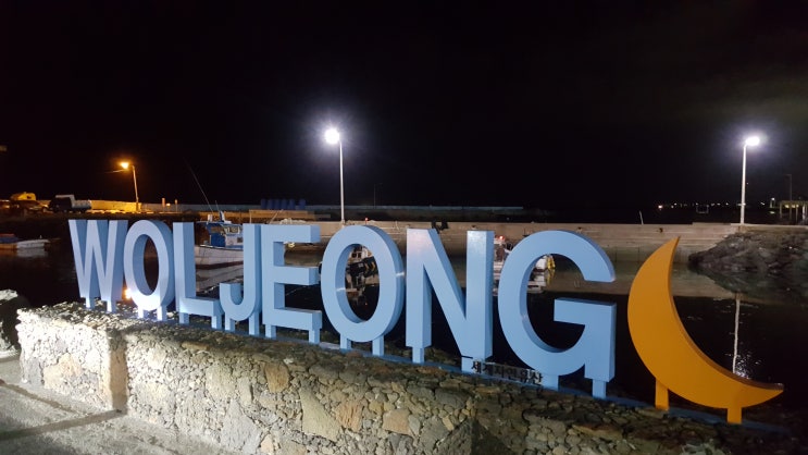  제주도푸른밤 월정리해변 월정리항구 밤바다 산책하기