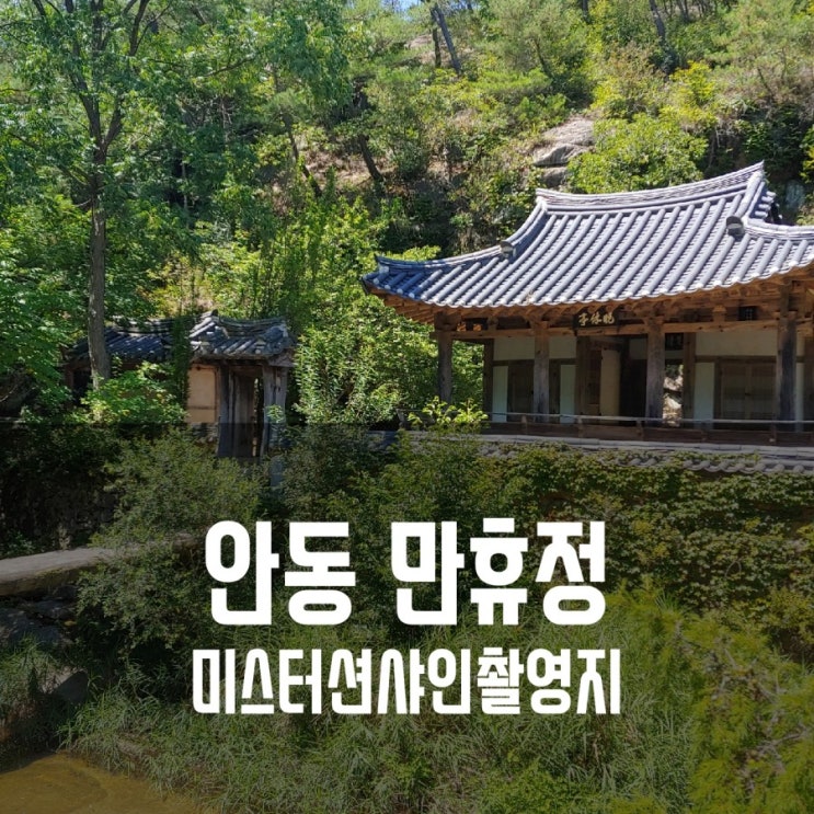  [안동여행] 미스터션샤인촬영지.안동만휴정/만휴정카페/묵계서원.애견동반여행