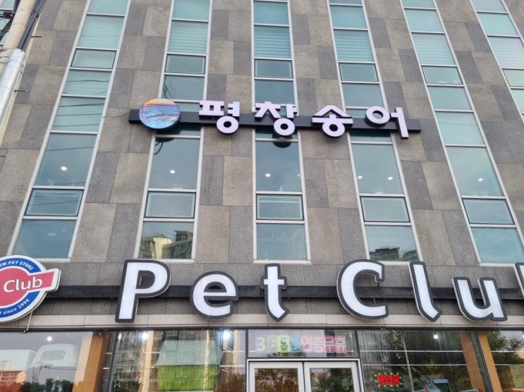  춘천 송어 맛집 평창송어