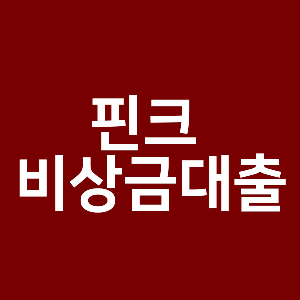  핀크 비상금대출에 대해서 알려드릴게요