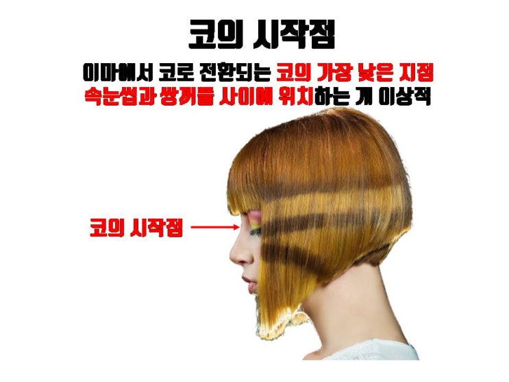  코의 길이와 코보형물이 삽입될 위치를 결정해 주는 코시작점         (비근점)