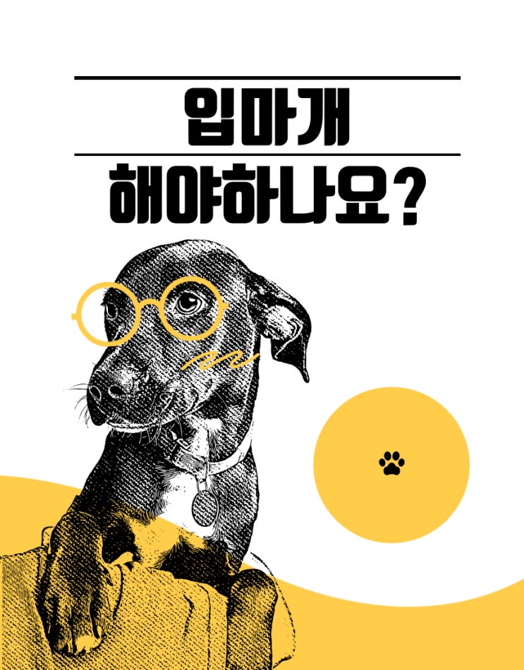  [동물보호법 바로알기5편] 반려견 입마개 해야하나?