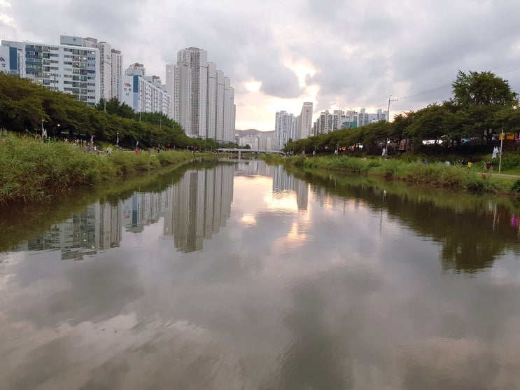  온천천 산책로.라이딩.조깅코스