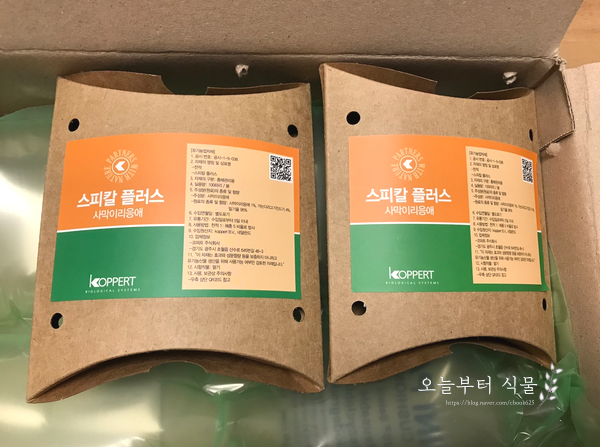  사막이리응애를 이용한 응애 퇴치 작전 2탄 코퍼트 스피칼 플러스