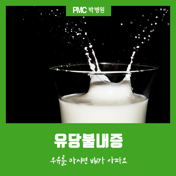  평택 박병원 유당불내증, 우유를 마시면 배가 아파요! [평택·송탄 종합병원 /  PMC박병원]