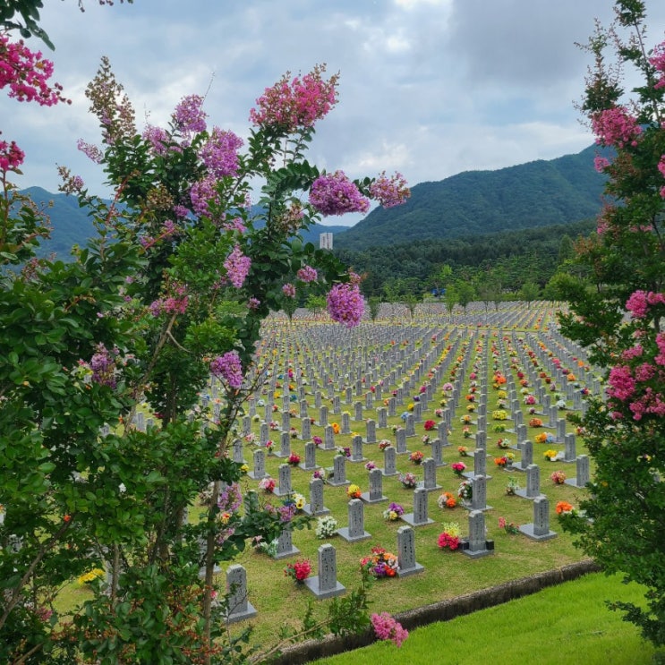  국립대전현충원, "군인•장병 휴가 인정 프로그램" 미션 완료해서 휴가 1일 챙기기c