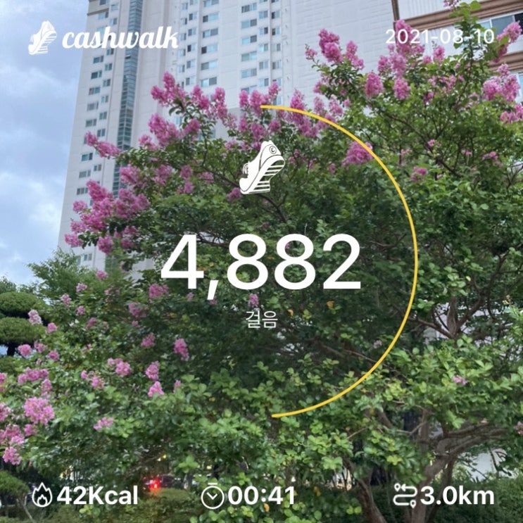  08.10) 41분