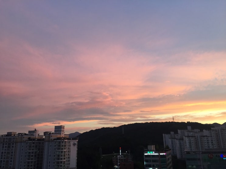  이웃님들에게 전달사항 및 답방, 답글 관련 공지!