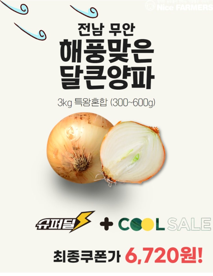  지마켓 해풍맞은 무안양파 6,720원 (NH 10%,신한 5% 추가할인)