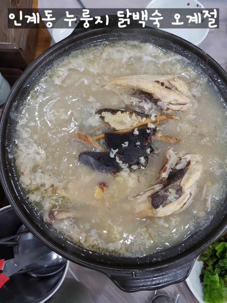 인계동 오계절 복날 토종닭 누룽지 닭백숙 솔직 후기 막국수와 메밀 전병 세류동 장수촌 상호변경 이전 인계동 오계절 복날 토종닭 누룽지 닭백숙 솔직 후기 막국수와 메밀 전병 세류동 장수촌 상호변경 이전