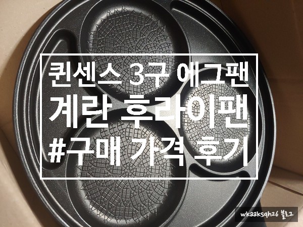  [1년 전 오늘] [에그팬]퀸센스 3구 에그팬 구매 가격 후기