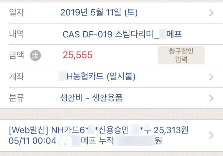  핸디형 스팀다리미 카스(CAS) DF-019 직접 2년 동안 써보고 남기는 추천 리뷰
