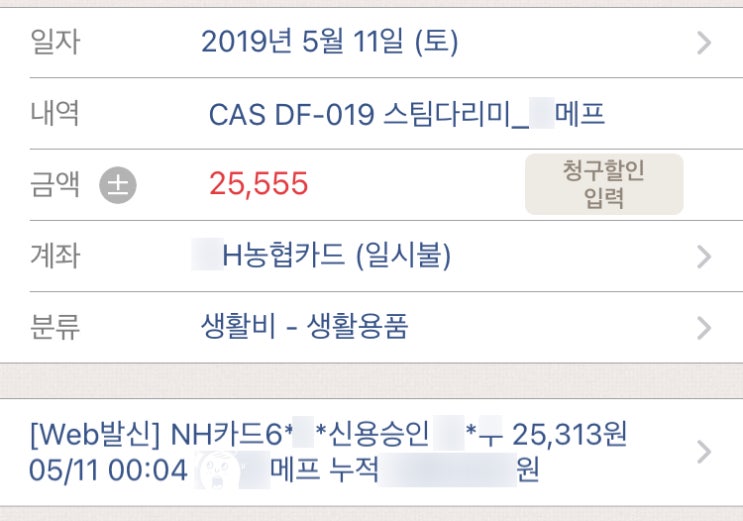 핸디형 스팀다리미 카스(CAS) DF-019 직접 2년 동안 써보고 남기는 추천 리뷰