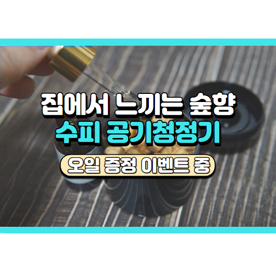  일상에서 느끼는 피톤치드, 수피공기청정기 후기, 할인혜택 정리