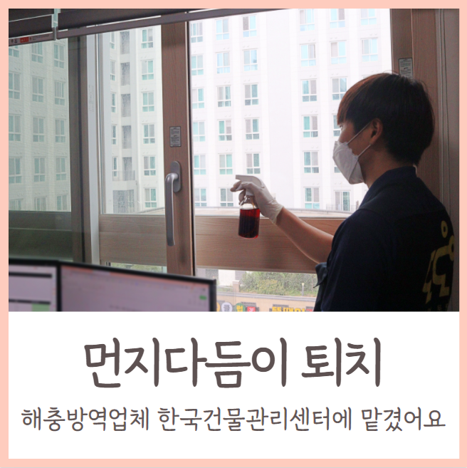  먼지다듬이 퇴치 / 해충방역업체 한국건물관리센터에 맡겼어요
