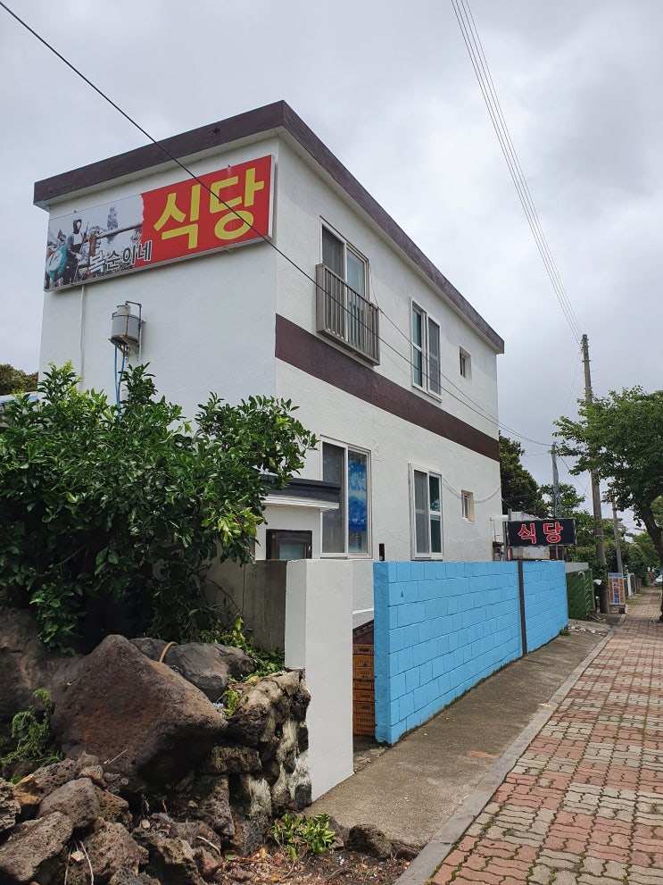  막둥이해녀복순이네 해녀가 직접 잡은 해산물(지금까지 알던 물회 맛이 아니다!!!)