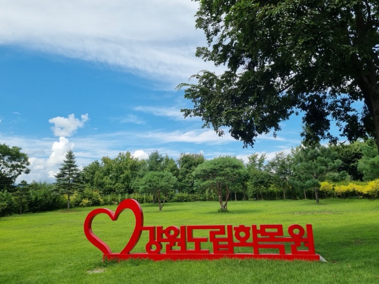  춘천 가볼만한곳 강원도립화목원