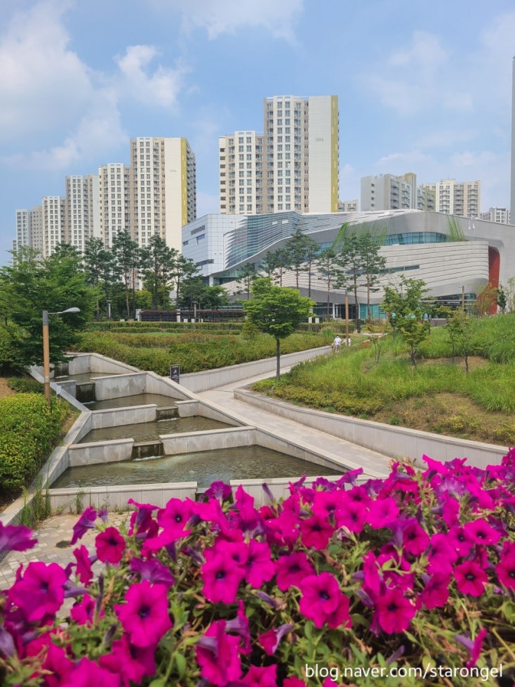  [일기] 안경찾고 도서관갔다가 혼빙한 화요일
