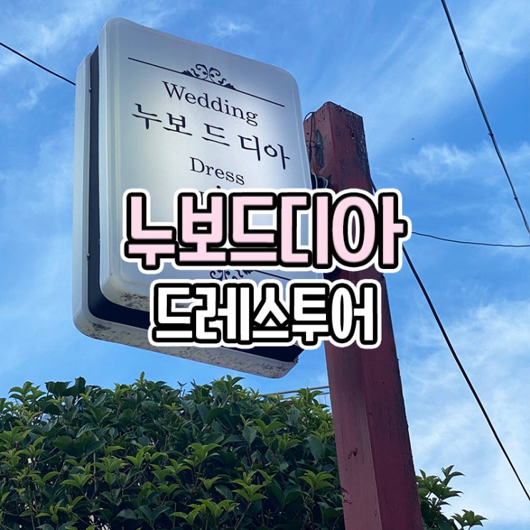  부산 드레스샵 누보드디아 웨딩 드레스 투어 후기