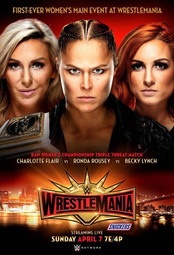  WWE 레슬매니아 35