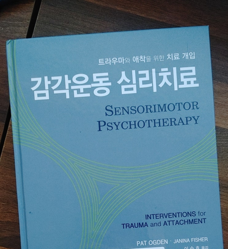  감각운동 심리치료 집단상담