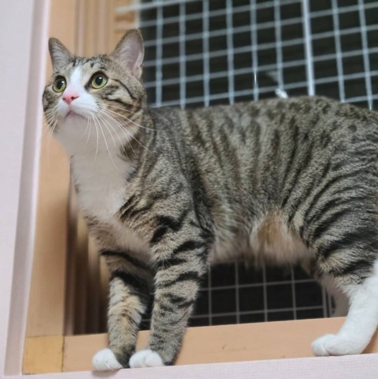 21년 8월 * 마리끌레르 별자리 운세 21년 8월 * 마리끌레르 별자리 운세