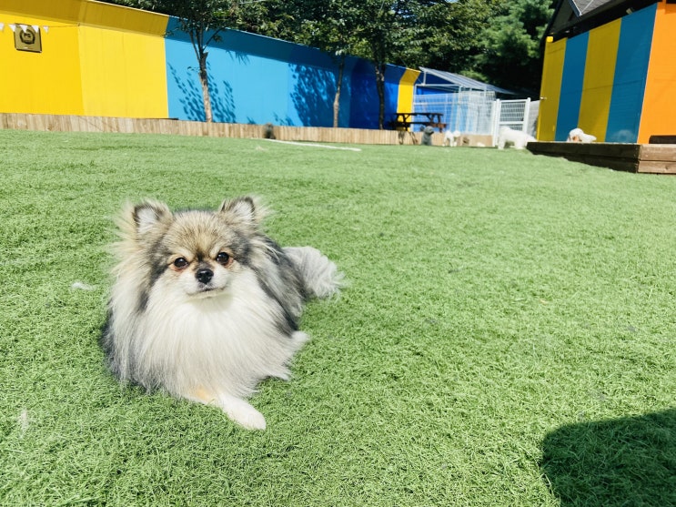  한낮의 여유