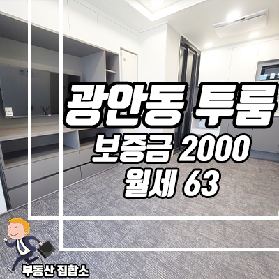 부산 수영구 테라스 있는 신축 투룸, 광안동 풀옵션 엘이즈G20 월세 부산 수영구 테라스 있는 신축 투룸, 광안동 풀옵션 엘이즈G20 월세