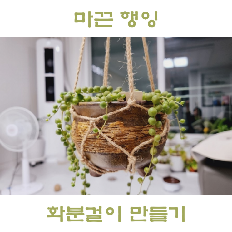  마끈으로 행잉화분걸이 만들기, 행잉플랜트 식물 키우기