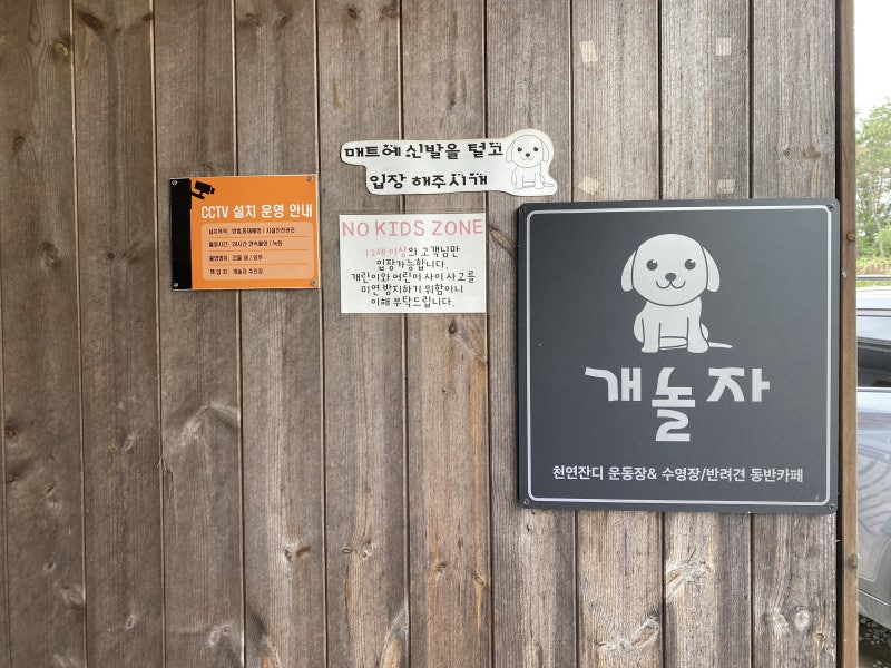 사진 3
