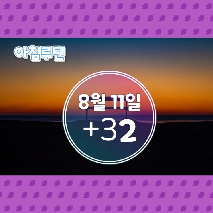  아침루틴 8월 11일