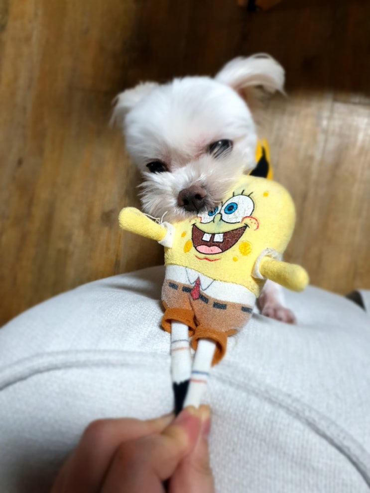  죄 짓고는 못사는 세상