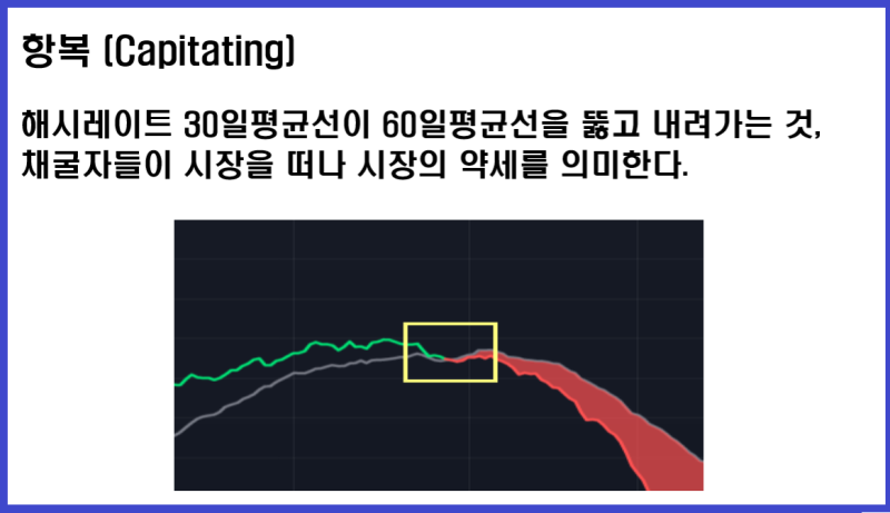 비트코인 시세