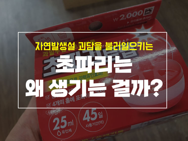 초파리 생기는 이유와 퇴치법 with 다이소 초파리 트랩